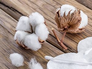 Properties of Cotton Fiber