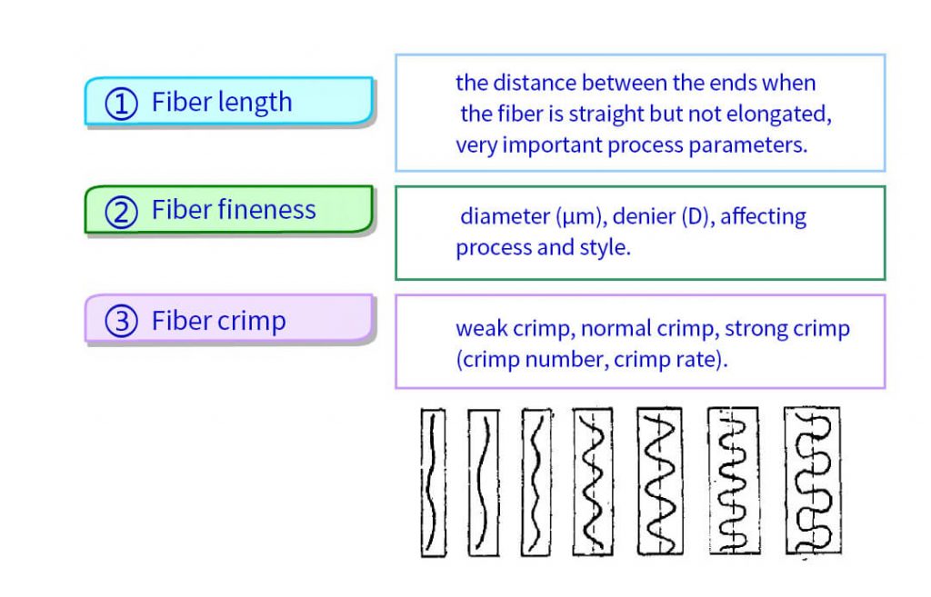 the morphology and size of the fiber