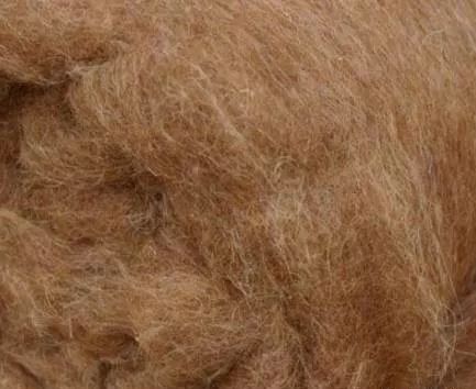 Camel hair